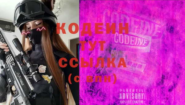 шишки Абаза