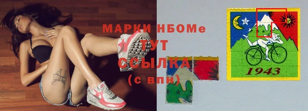 шишки Абаза