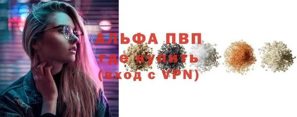 шишки Абаза