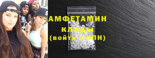 шишки Абаза