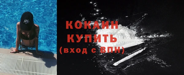 шишки Абаза