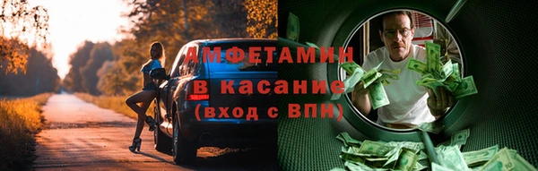шишки Абаза