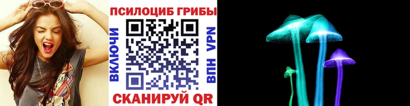 Псилоцибиновые грибы Psilocybine cubensis  купить   Нижневартовск 